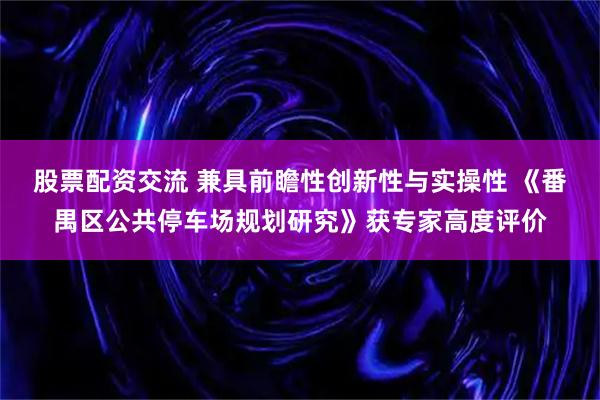 股票配资交流 兼具前瞻性创新性与实操性 《番禺区公共停车场规划研究》获专家高度评价