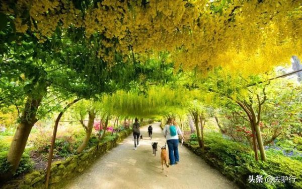 配资平台代理 英国140多岁的老网红，再过一个月又要变漂亮了